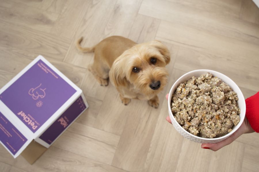 Friss ízek, egészség és szabadság: Hogyan segített a PetChef kutyaeledel allergiás kutyusunknak? - Egészség -  - kutya allergia, kutyakaja, petchef, petchef vélemények,