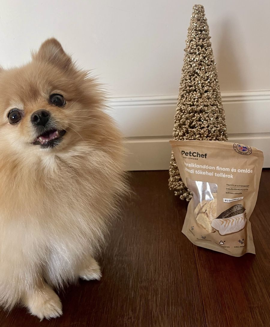 Friss ízek, egészség és szabadság: Hogyan segített a PetChef kutyaeledel allergiás kutyusunknak? - Egészség -  - kutya allergia, kutyakaja, petchef, petchef vélemények,