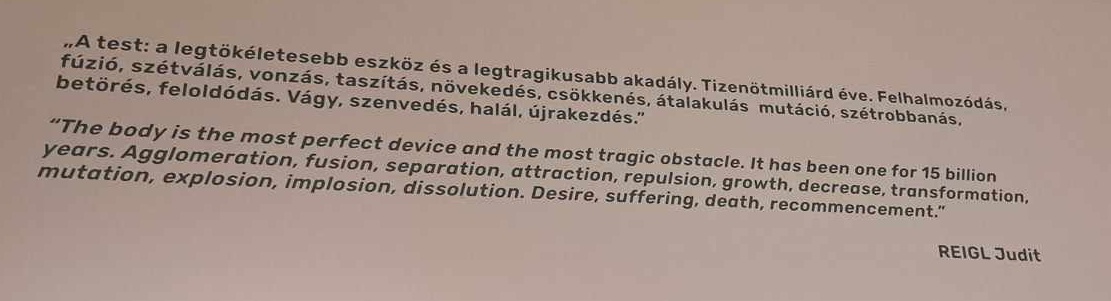 „Soha életemben nem mosogattam, nem tudom miért, valamiért olyan megalázó” - Január 28-ig Reigl Judit kiállítás van a Műcsarnokban -  -  - 1950, André Breton, Hantai Simon, kiállítás, kiállítás budapest 2024, Műcsarnok, műcsarnok reigl judit, Párizs, reigl 100, reigl judit, 