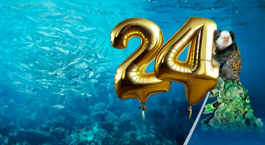 24 éves a Tropicarium - Kezdetek -  -  - tropicarium, tropicarium budapest,