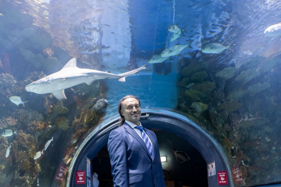 24 éves a Tropicarium - Kezdetek -  -  - tropicarium, tropicarium budapest,