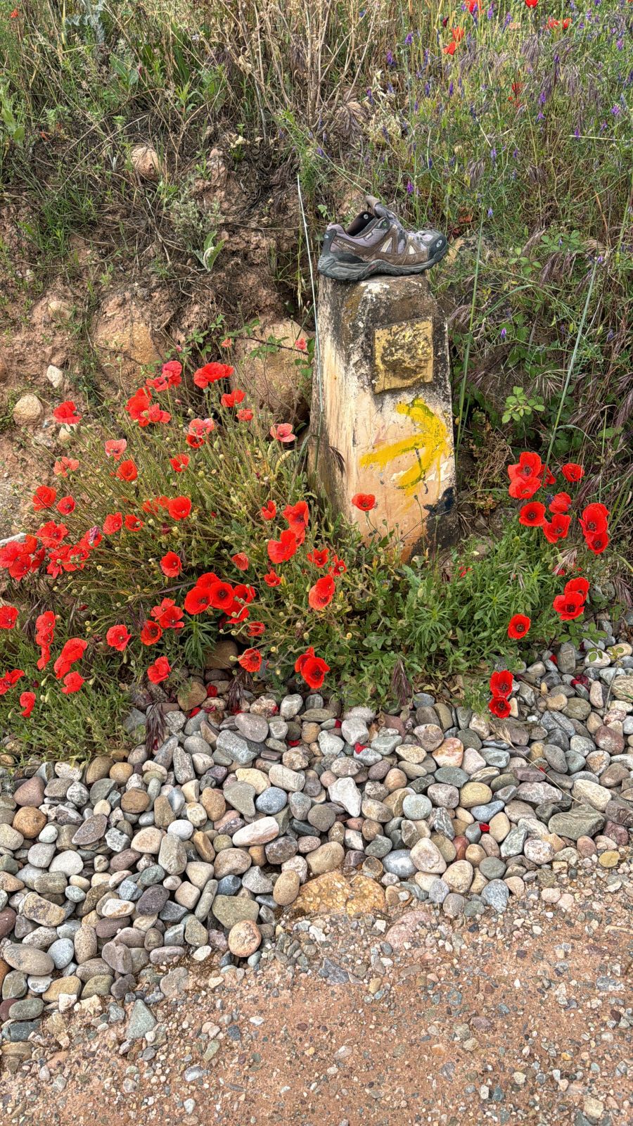 Az út, ami segít visszatalálni önmagadhoz - ÉLETÉRZÉS -  - el camino, el camino km, el camino útvonal, interjú, Szabó Bea, 