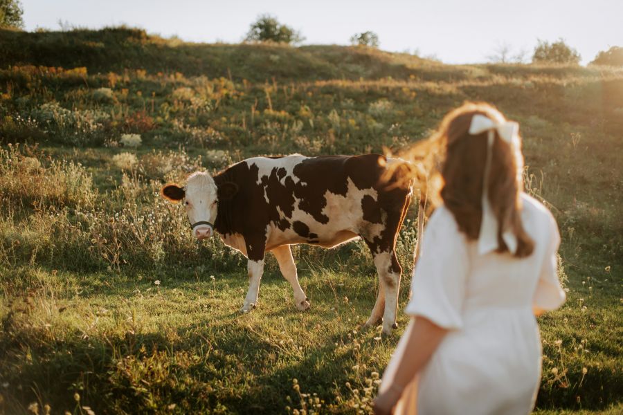 Azok a tipikus vidéki dolgok - ÉLETÉRZÉS -  - Támcsu Anikó, vidék, vidéki élet, vidéki élmények, 