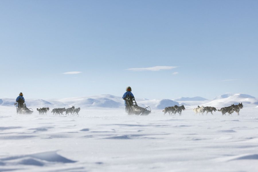 A skandináv sarkvidék kutyaszános felfedezésére szinte bárki képes – Indul a jelentkezés a 20. évfordulóját ünneplő Fjällräven Polarra! - STYLELIFE -  - expedíció, Fjällräven Polar, skandináv sarkvidék, 