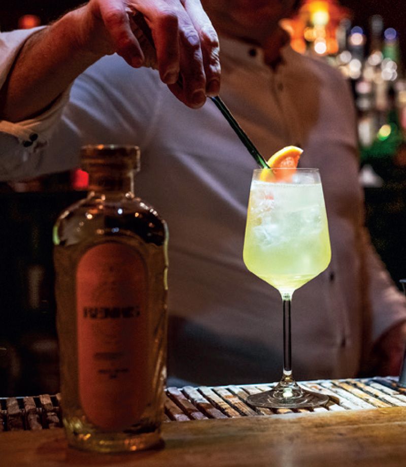 Renais Gin – Emma Watson prémium ginkülönlegessége már Magyarországon is elérhető - STYLELIFE -  - Emma Watson, Renais Gin, Watson család,