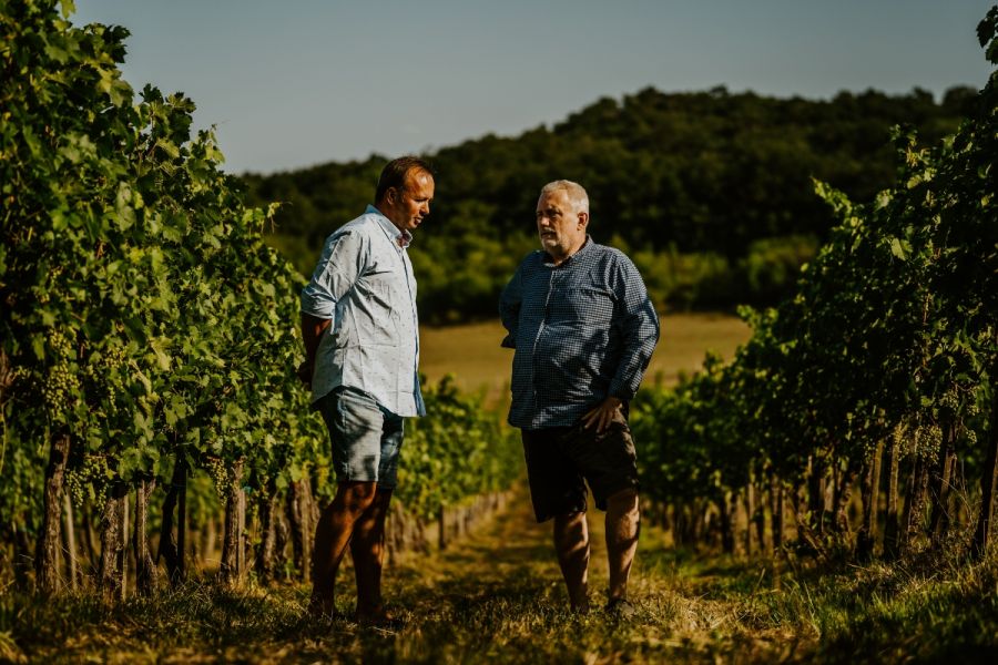 Belvedere Premier - bemutatkozik a Villa Gyetvai pezsgője - STYLELIFE -  - belvedere, gyetvai, gyetvai villa, pezsgő, 