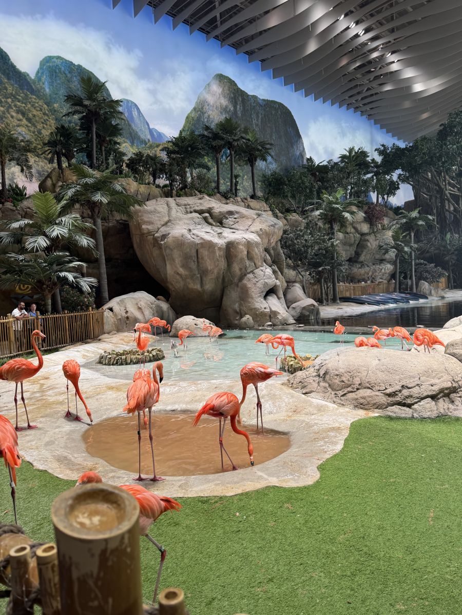 Mindenhol otthon :  A történet ahol én kezdődöm, avagy az első lélegzet idegen földön - ÉLETÉRZÉS -  - Dubaj, élet távol otthonról, idegen ország, otthon, utazás, 