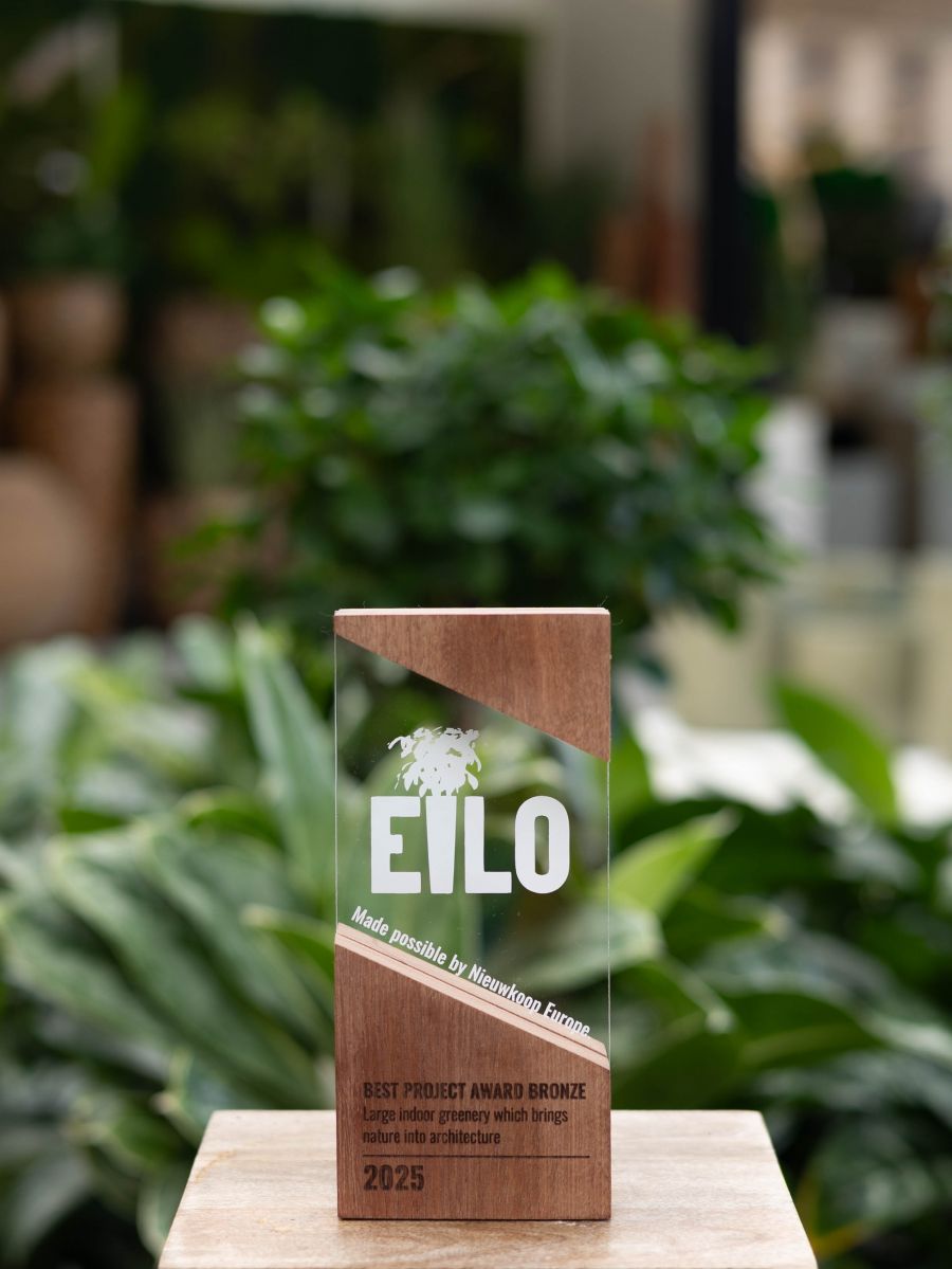 Újabb nemzetközi elismerést kapott a Dorothea Hotel - STYLENEWS -  - BDPST Group, Dorothea Hotel, Market Építő Zrt., 