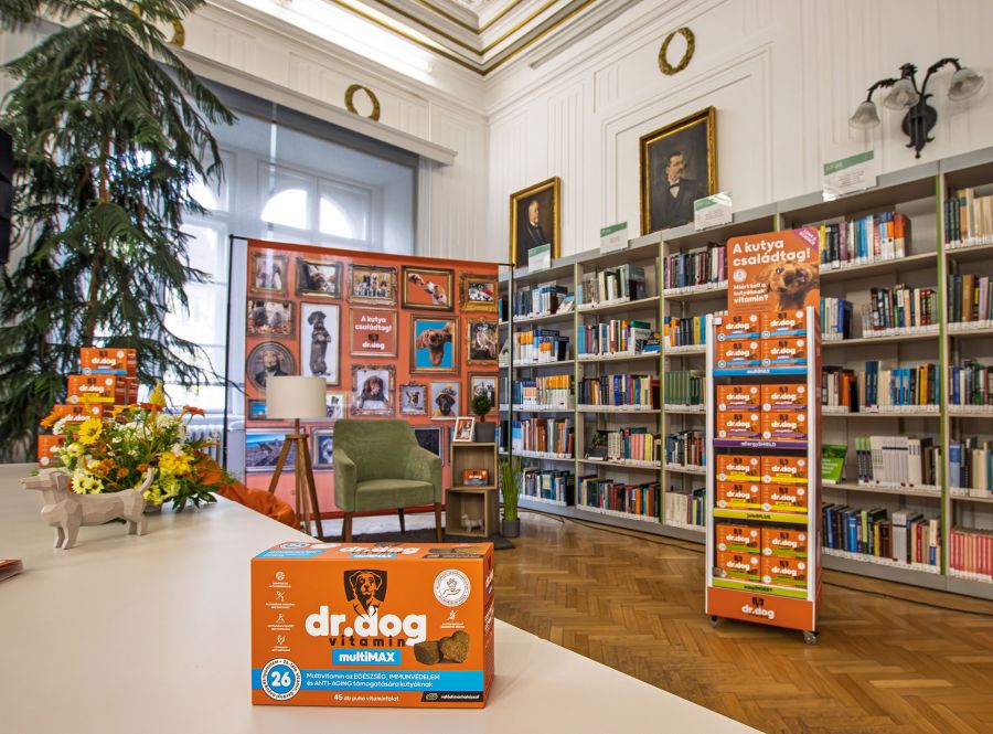 Tudatos gondoskodás négylábú családtagjainkért - STYLENEWS -  - 