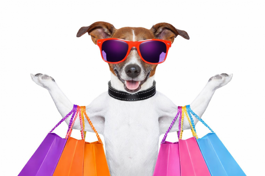 Kutyával a plázában – hol lehet, hol nem, és mit érdemes tudni - STYLELIFE -  - kutya, kutyával a plázában, pláza, szabályok, vásárlás kutyával, 