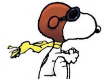 Híres kutyák a filmtörténetben -  -  - állatok, filmtörténet, kutya,