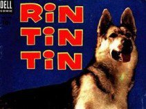 Híres kutyák a filmtörténetben -  -  - állatok, filmtörténet, kutya,