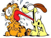 Híres kutyák a filmtörténetben -  -  - állatok, filmtörténet, kutya,