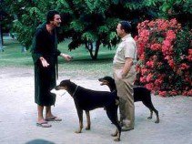 Híres kutyák a filmtörténetben -  -  - állatok, filmtörténet, kutya,