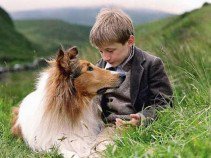 Híres kutyák a filmtörténetben -  -  - állatok, filmtörténet, kutya,