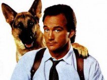 Híres kutyák a filmtörténetben -  -  - állatok, filmtörténet, kutya,