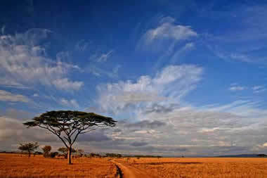 Tanzánia - Afrika érdekessége - Utazás -  - afrika, Dar es Salaam, Gombe Nemzeti Park, Kilimandzsáró Nemzeti Park, Kilimanjaro, Meru, muszlim, Serengeti Nemzeti Park, szuahéli, Tanzánia, utazás, 