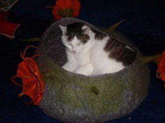 Cica chillout-zugok -  -  - chillout, Cica, fekhely, lakberendezés, macska,