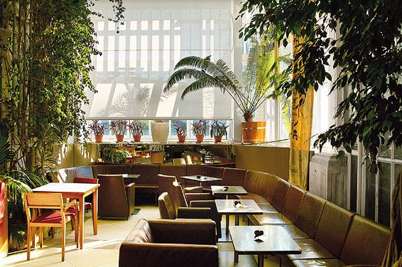 Ebéd a bécsi pálmák tövében - Utazás -  - Bécs, étterem, Ferenc József, gasztronómia, Hofburg, Palmehaus, 