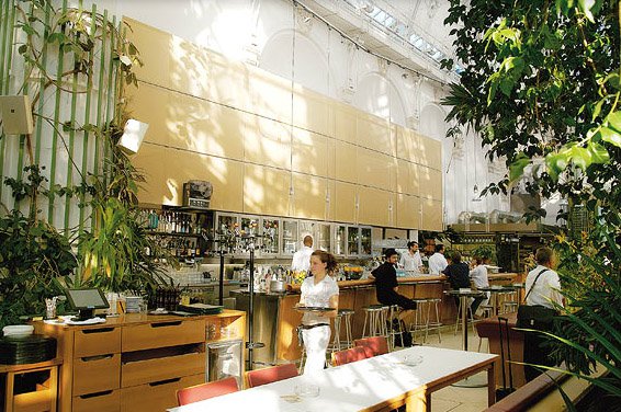 Ebéd a bécsi pálmák tövében - Utazás -  - Bécs, étterem, Ferenc József, gasztronómia, Hofburg, Palmehaus, 