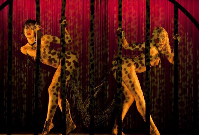 Nálunk is megőrült a párizsi ló -  -  - ++erotika, ++m%C5%B1v%C3%A9szet, +Crazy+Horse, meztelens%C3%A9g, 