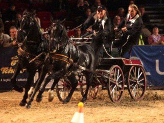 OTP Lovas Világkupa 2011 -  -  - lovaglás, sport, világkupa, 