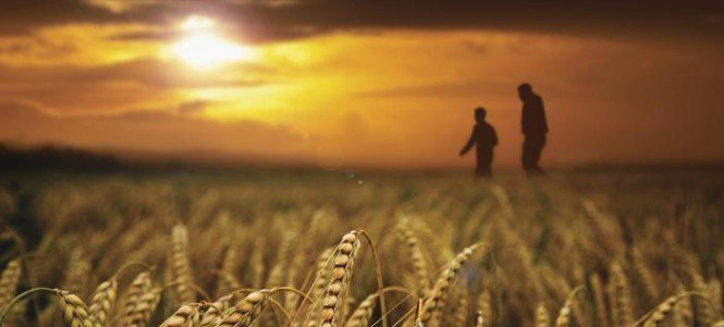 Kortalan remekművek - Egerek és emberek -  -  - Bokros László, film, John Steinbeck: Egerek és emberek, könyv,