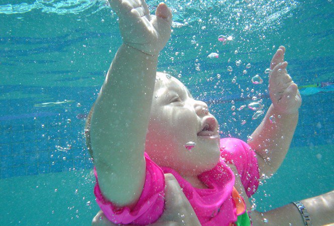 Az immunrendszer erősítése babaúszással - Apa mappa -  - babúszás, Hófehér fóka, Kalovits-módszer, 