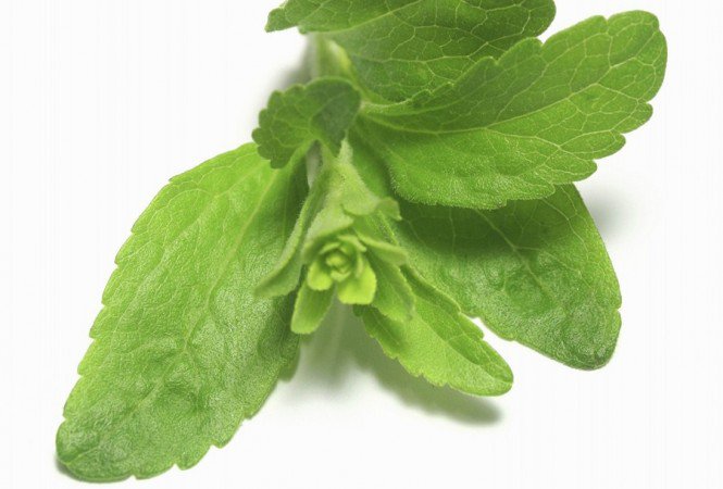 Természetes édesítők - ÉN - Egészség - agavészirup, diéta, sztívia, xilit,