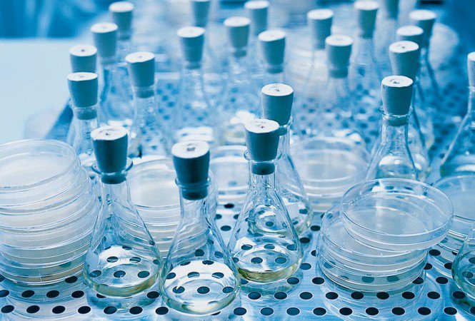 Éld túl a nyaralást! - Apa mappa -  - +++leletek, +++napoz%C3%A1s, ++utaz%C3%A1s, +kullancs, laborat%C3%B3riumi+vizsg%C3%A1lat,