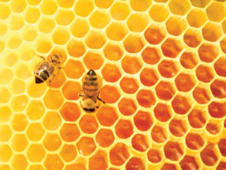 A folyékony arany - Ápolt vagyok -  - +++k%C3%A9z%C3%A1pol%C3%A1s, ++tej, +m%C3%A9z, antibiotikum, 