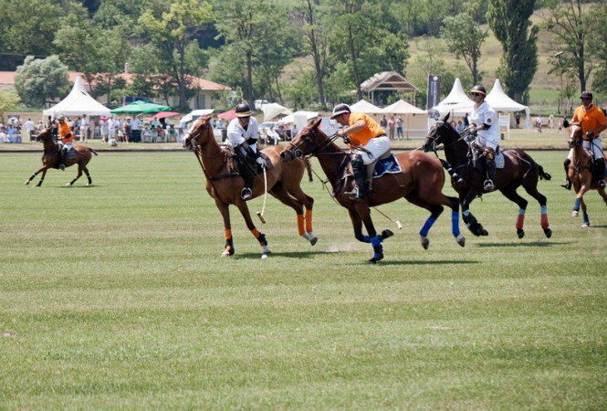 Célba lovagolt a jaguár - MOBILITY -  - +lovasp%C3%B3l%C3%B3, kalap, 