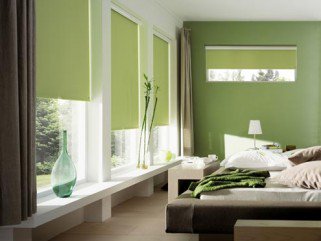 Igénytelen növények a fürdődben -  -  - +++v%C3%ADzip%C3%A1lma, ++feh%C3%A9rsz%C3%A9l%C5%B1+s%C3%A1rk%C3%A1nyfa, +lakberendez%C3%A9s, szoban%C3%B6v%C3%A9nyek,