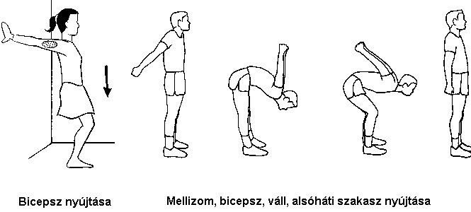 Nincs edzés nyújtás nélkül -  -  - ++++h%C3%A1t, ++++l%C3%A1b, ++++mell, ++++ny%C3%BAjt%C3%A1s, ++++tricepsz, ++++v%C3%A1ll, +++streching, ++bicepsz, +comb, fitness, 
