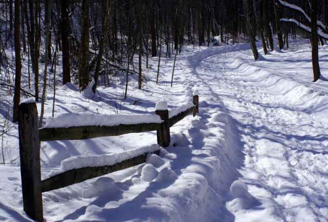 Irány sétálni! - Sikertippek -  - kreatívitást fejlesztő módszerek, 