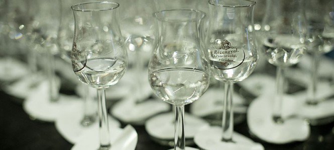 Készül az év pálinkája -  -  - év pálinkája, meggy, meggy pálinka, pálinka, pálinkafesztivál, pálinkafőző, 