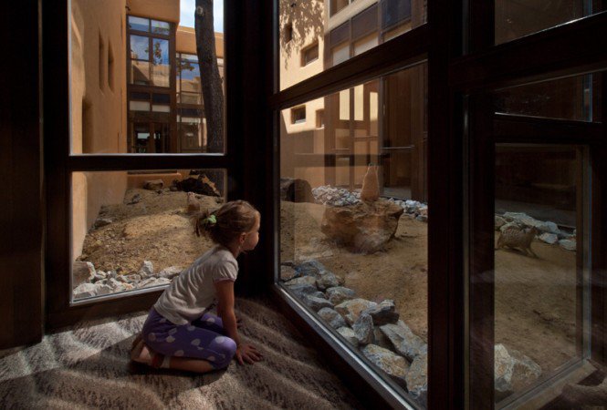 Afrikai luxushotel nyílik Felsőtárkányban - Utazás -  - ++Fels%C5%91t%C3%A1rk%C3%A1ny, +luxushotel, sz%C3%A1lloda, 