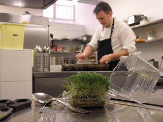 A tökéletes karácsonyi menü -  -  - gesztenye főzése, kacsacomb sütve, karácsonyi menü, karácsonyi sütemények, lilakáposzta párolás, tiramisu recept, 