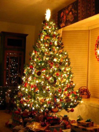 A világ legszebb karácsonyfái - Otthon & Design -  -