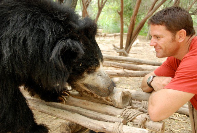 Gyilkosok nyomában -  -  - Deadly 60, Steve Backsall, tévéműsor, veszélyes állatok, 