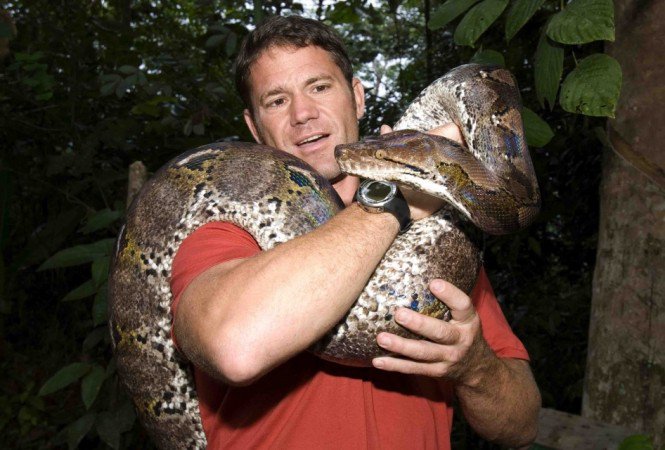 Gyilkosok nyomában -  -  - Deadly 60, Steve Backsall, tévéműsor, veszélyes állatok, 