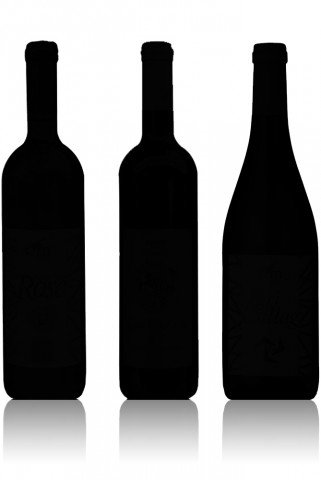 Az idei VinCE legjobb pillanatai -  -  -