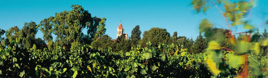 15 ezer forintba kerül a szerzetesek bora -  -  - apátság, bor, Cannes, díj, gasztronómia, szerzetes, 