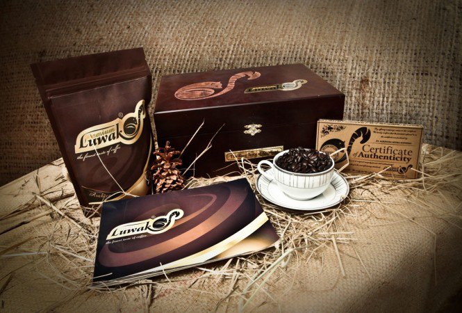 Macskából jön a világ legdrágább kávéja - MOBILITY -  - gasztronómia, Indonézia, kávé, Kopi Luwak, legdrágább, 