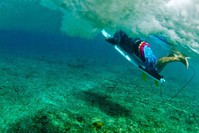 Ahol még van nyár - Grant Legassick fotói - Utazás -  - 