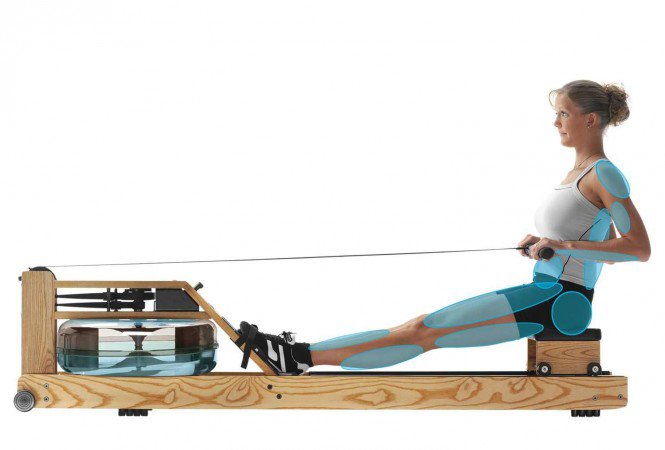 A fitnesz felszerelés, amivel akár együtt is élhetsz -  -  - evezőpad, otthoni evezőgép, WaterRower, 