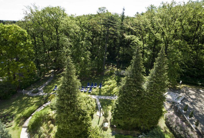 Aki velük kel és fekszik, az meg is öleli a fákat - Utazás -  - léböjt, lővér hotel sopron, nordic walking, sopron szállás, 