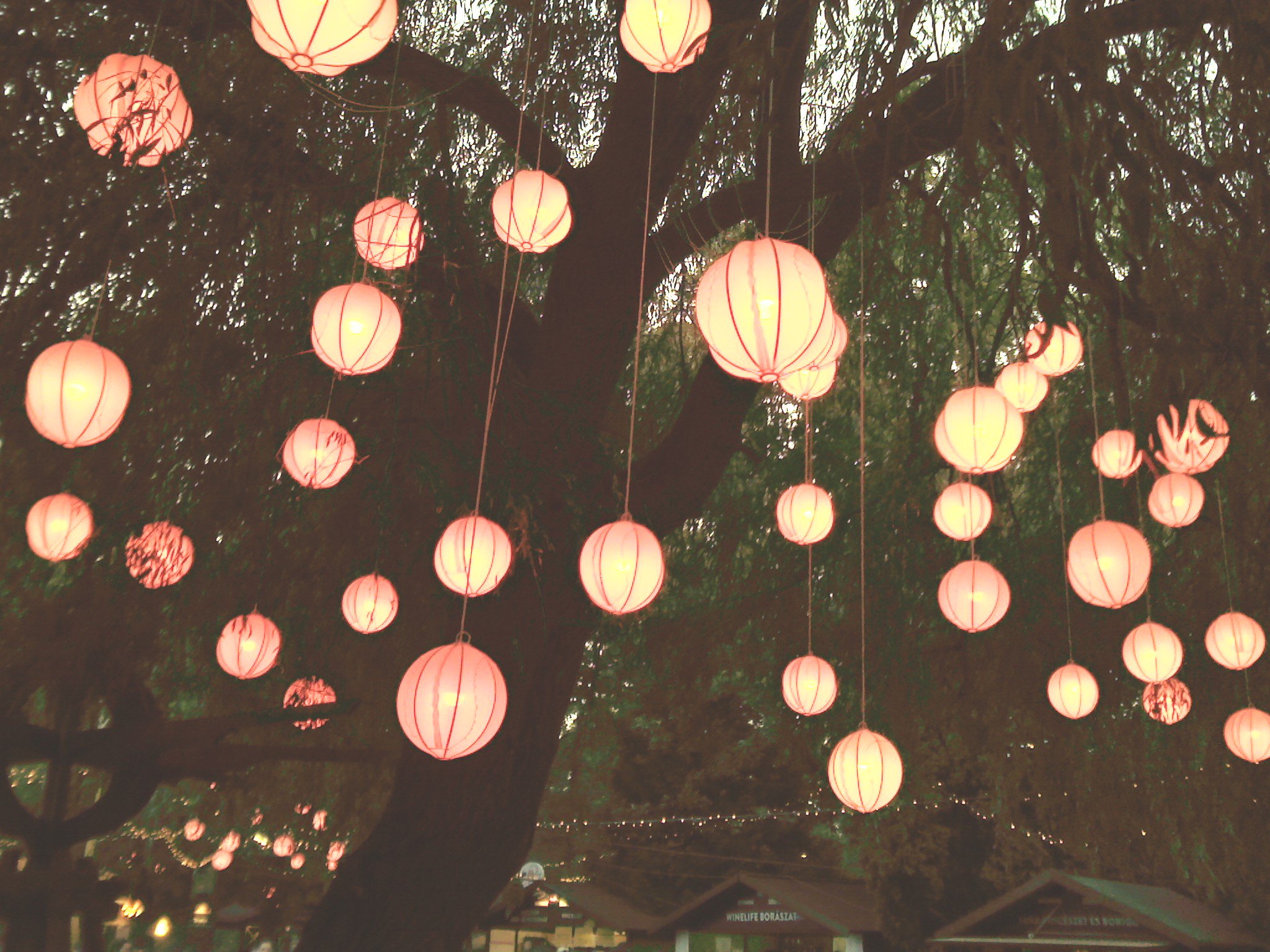 Ott VOLT-unk! - Kikapcsoló -  - fellépők, fesztivál, volt fesztivál, 