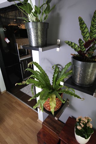 Pezsgőszín és hullámfal -  -  - juditu, otthon%26design, 