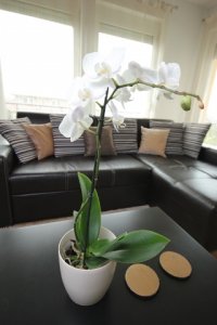 Pezsgőszín és hullámfal -  -  - juditu, otthon%26design, 